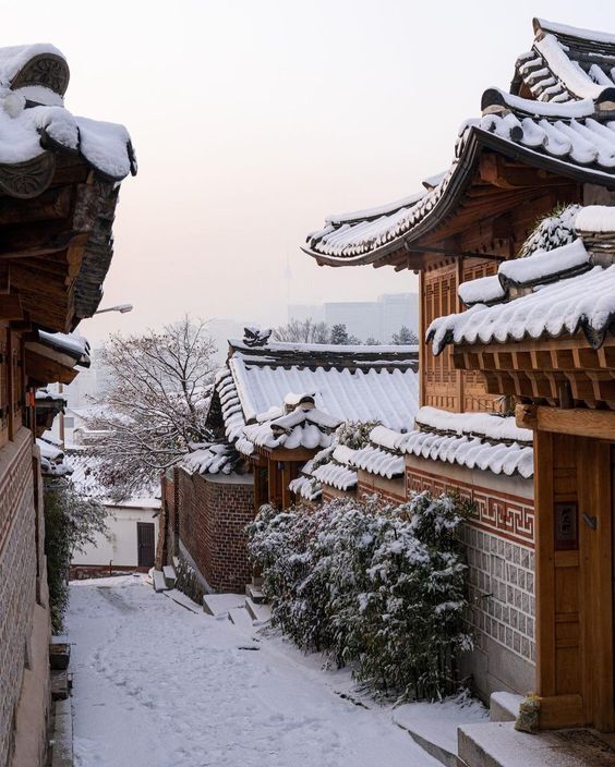 ❄️한국의 겨울❄️ | 인스티즈