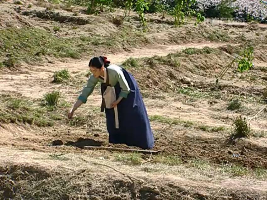 생존능력 쩔고 회복탄력성 미친 드라마 주인공.jpg | 인스티즈