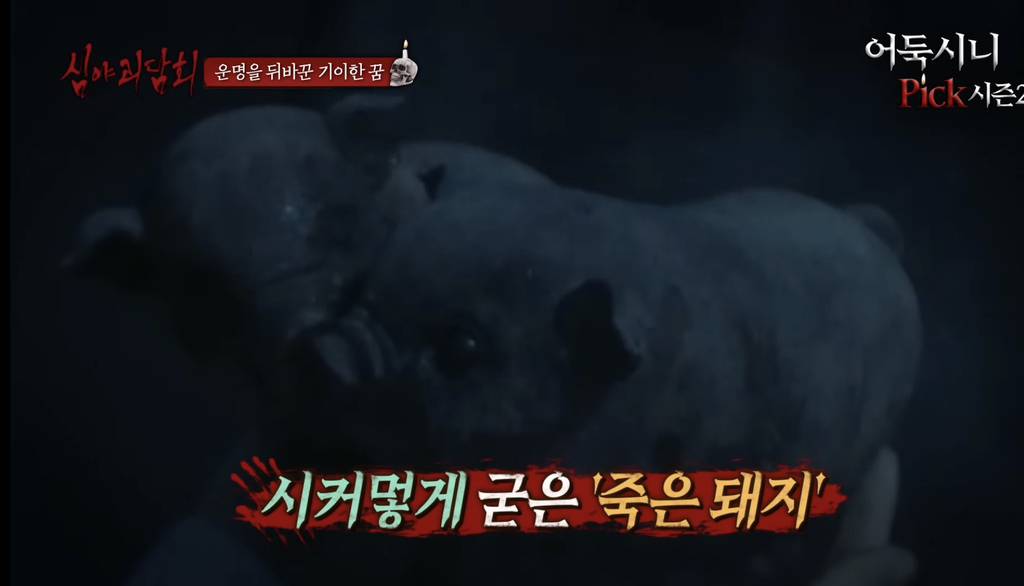 [심야괴담회] 올해 가장 잘 한 일은 그 꿈을 산 것입니다 | 인스티즈