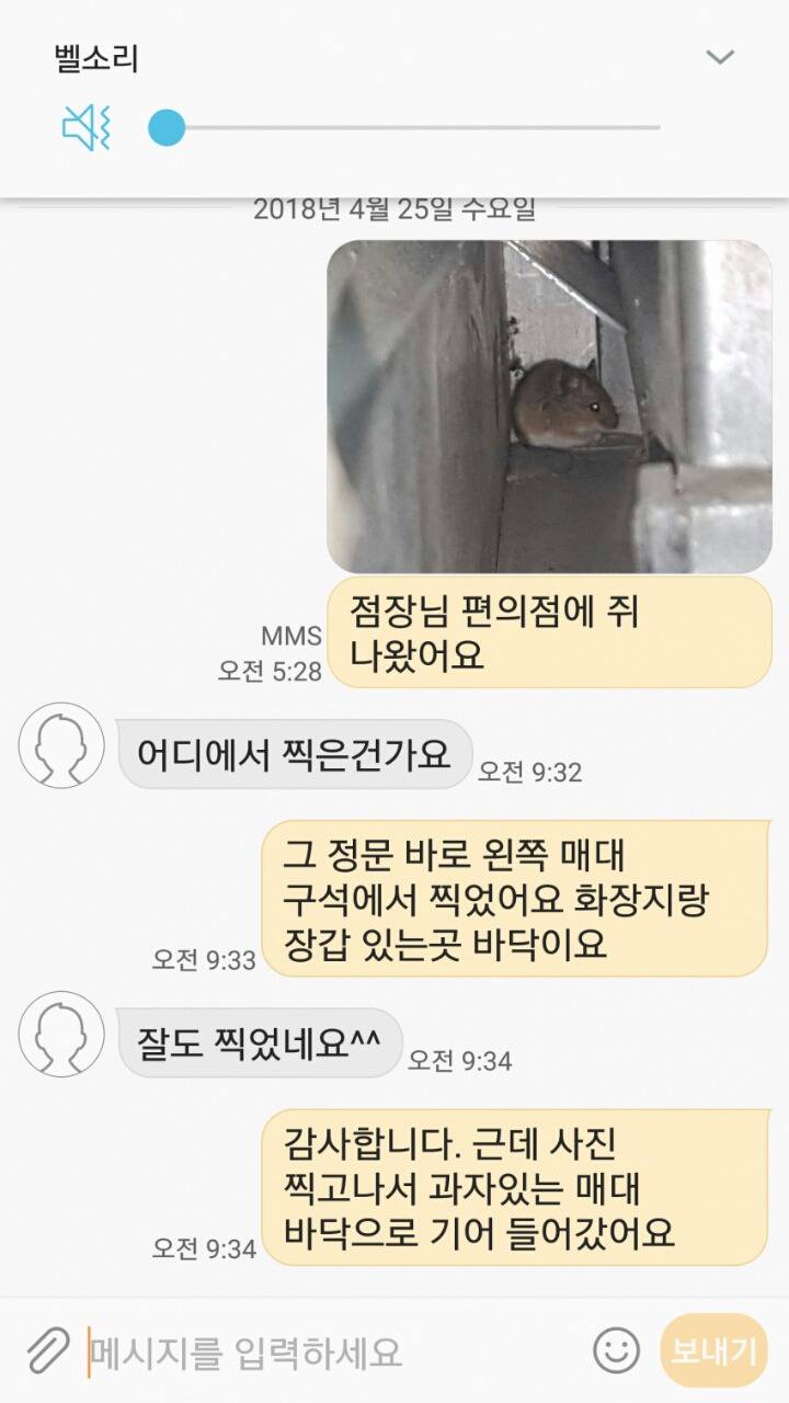 점장님 편의점에 쥐가 나왔어요 | 인스티즈