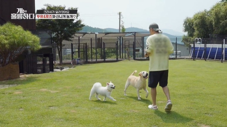 챌린지 때매 몰래 집에서 춤연습 했다는 강형욱...jpg | 인스티즈