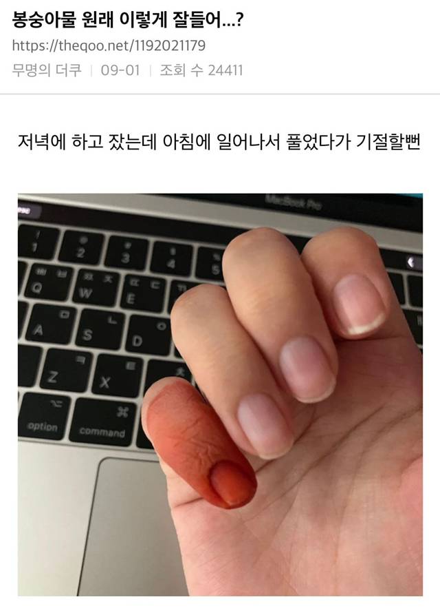 ??: 봉숭아물 원래 이렇게 잘 들어..? | 인스티즈