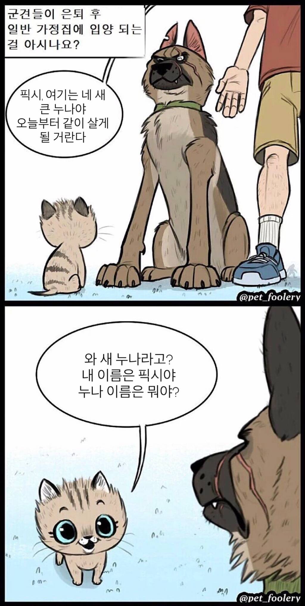 은퇴한 군견의 삶.jpg | 인스티즈