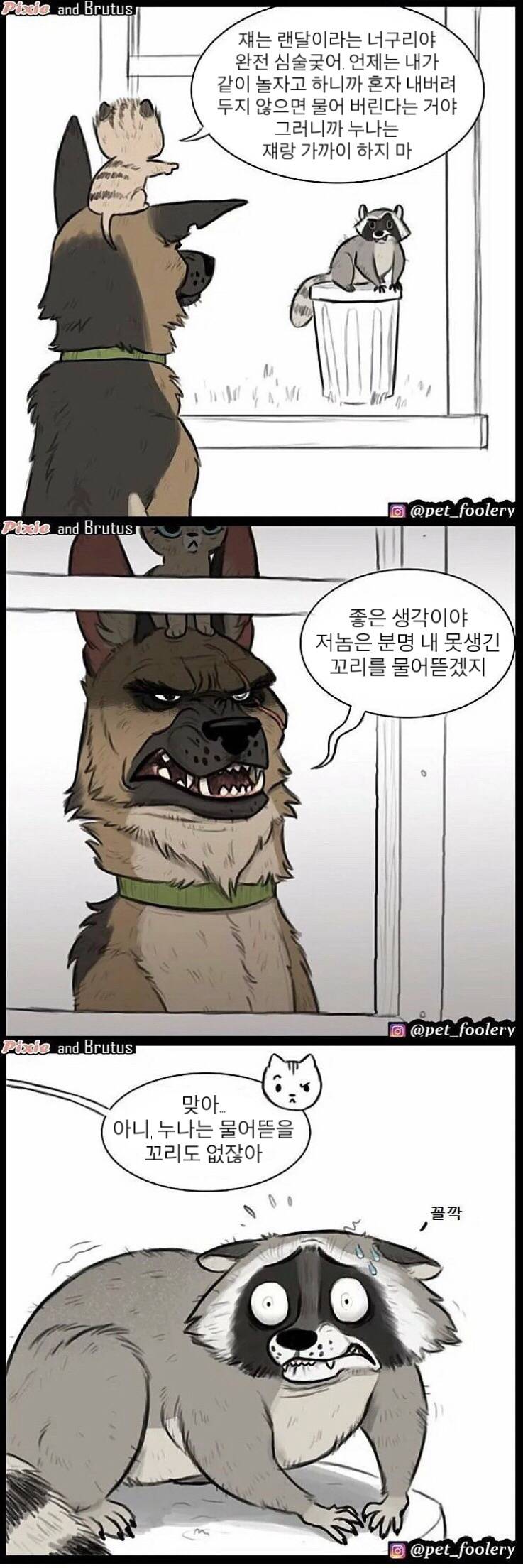 은퇴한 군견의 삶.jpg | 인스티즈