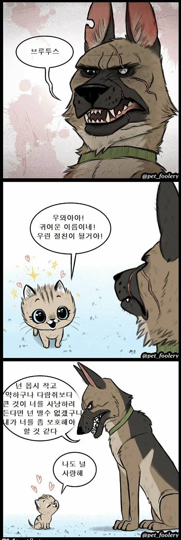 은퇴한 군견의 삶.jpg | 인스티즈