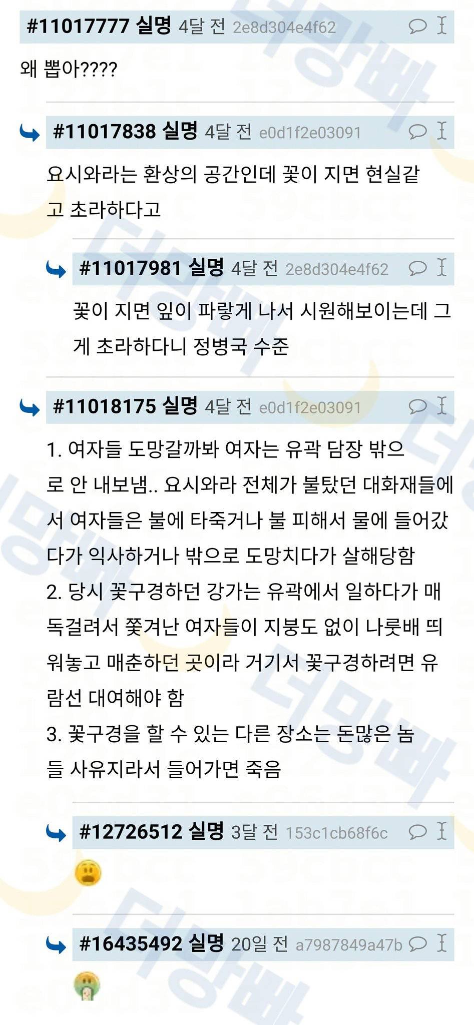 일본 유곽 장식하려고 벚나무 뽑아서 심었다는 거 정신병같아.twt | 인스티즈