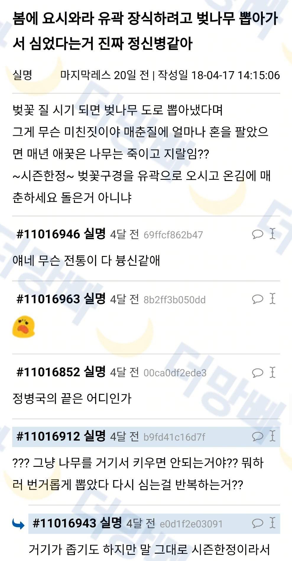 일본 유곽 장식하려고 벚나무 뽑아서 심었다는 거 정신병같아.twt | 인스티즈