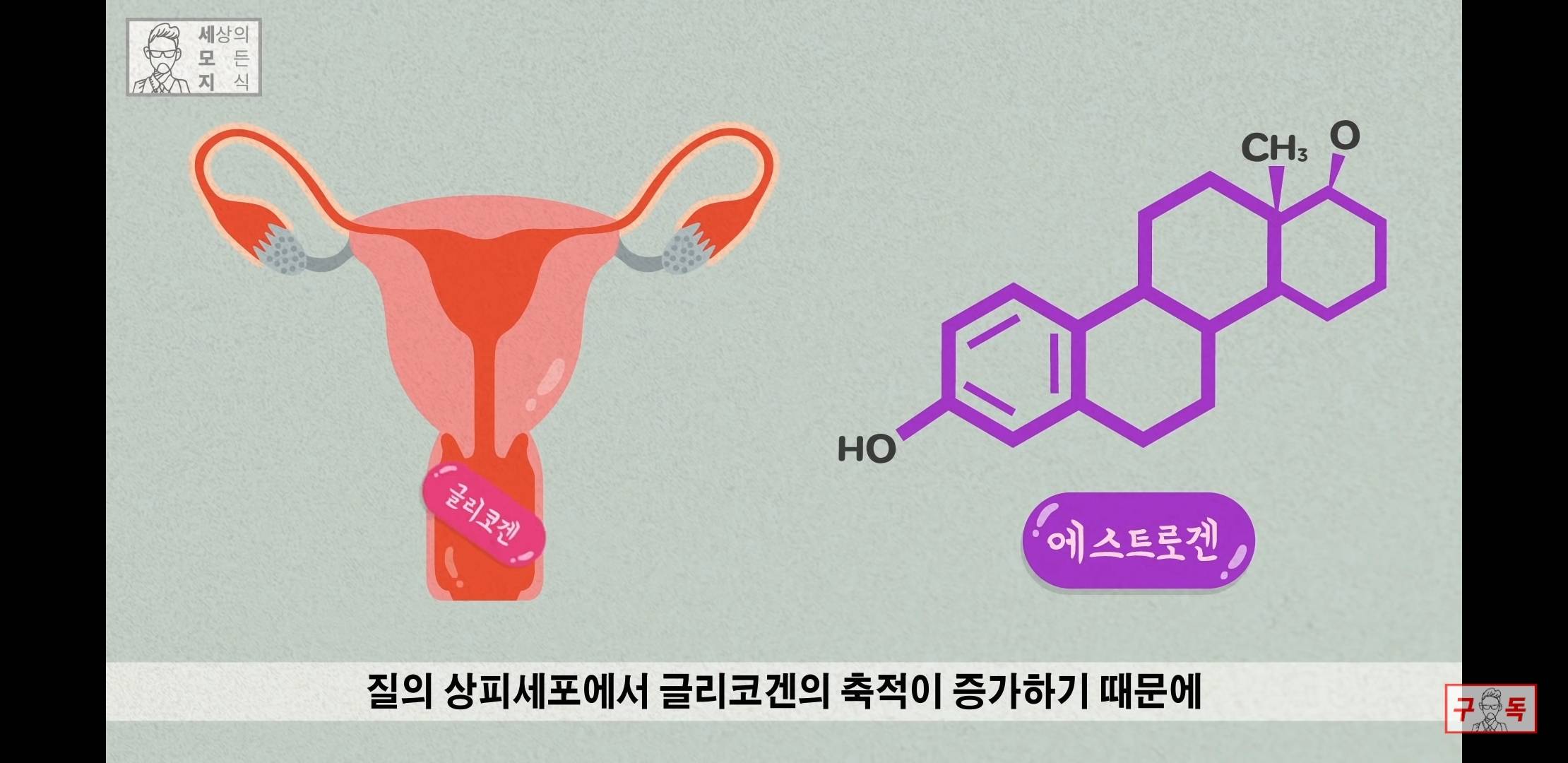 칸디다균의 원리 😠😡🤬 | 인스티즈