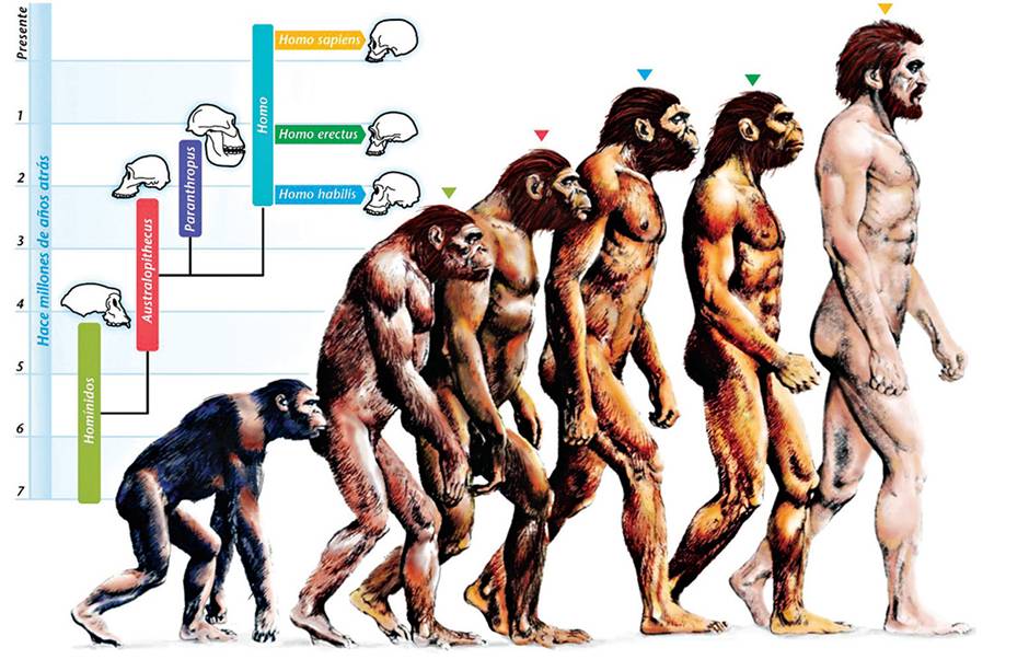 최근 걸그룹 멤버가 4족보행을 시도한 이유…jpg | 인스티즈