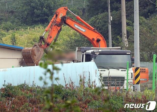 [속보] 경기 연천서 아프리카돼지열병 의심 신고 | 인스티즈