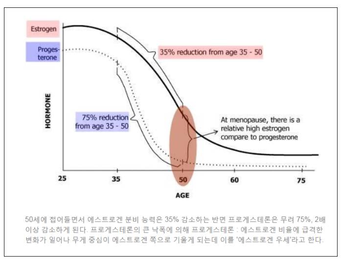 생리전후 두통이 갑자기 생긴 당신...당신도 호르몬 불균형일수 있다! | 인스티즈