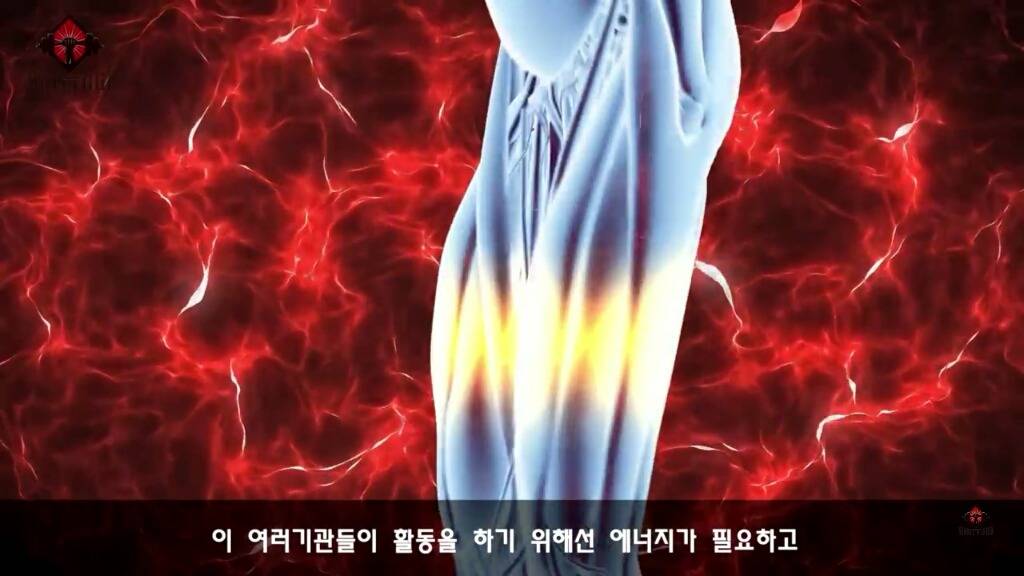 우리가 몰랐던 기초대사량의 진실 | 인스티즈