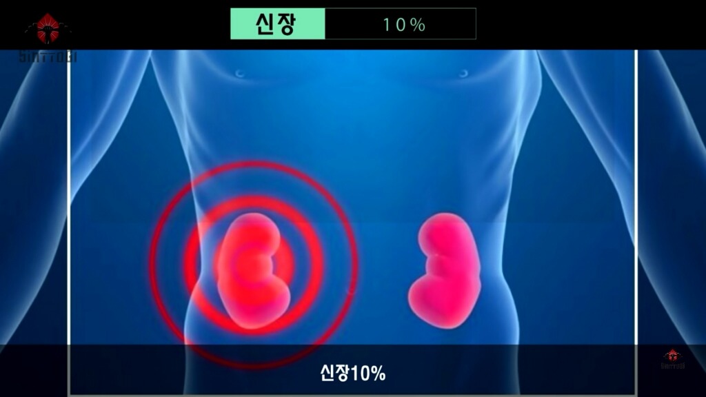 우리가 몰랐던 기초대사량의 진실 | 인스티즈