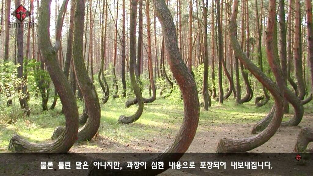 우리가 몰랐던 기초대사량의 진실 | 인스티즈