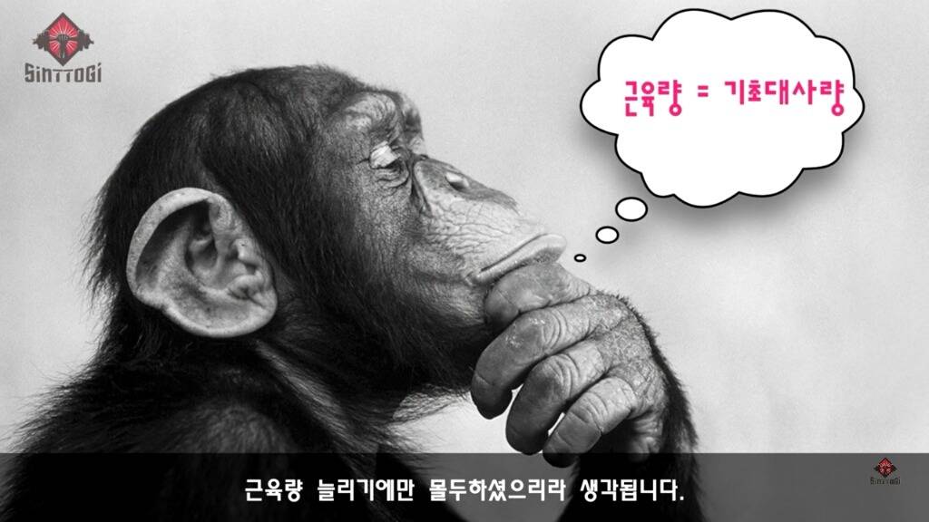 우리가 몰랐던 기초대사량의 진실 | 인스티즈