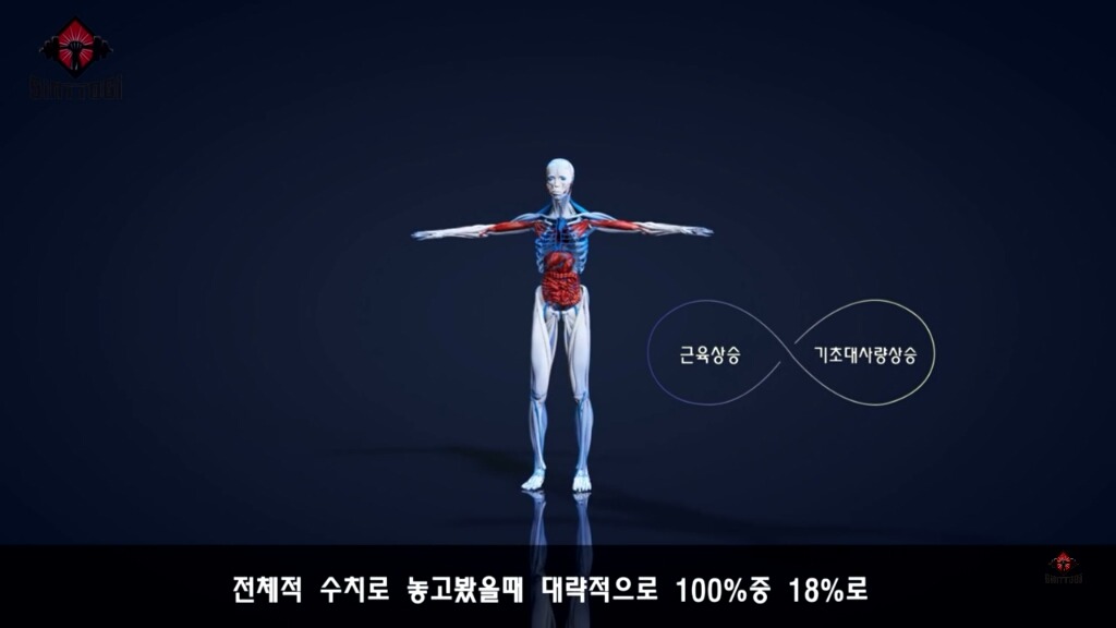 우리가 몰랐던 기초대사량의 진실 | 인스티즈