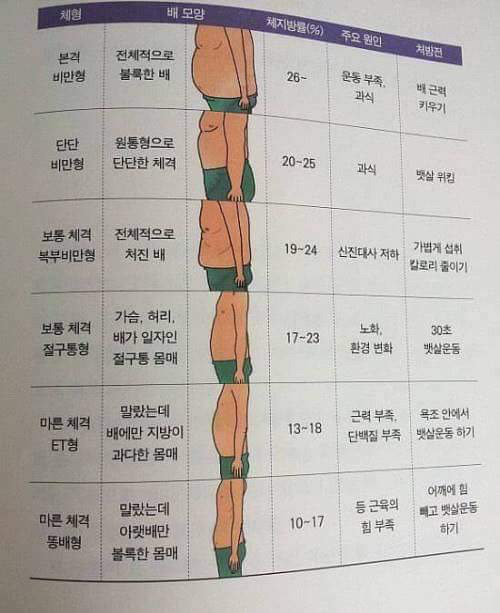 내 뱃살 유형 알기 | 인스티즈