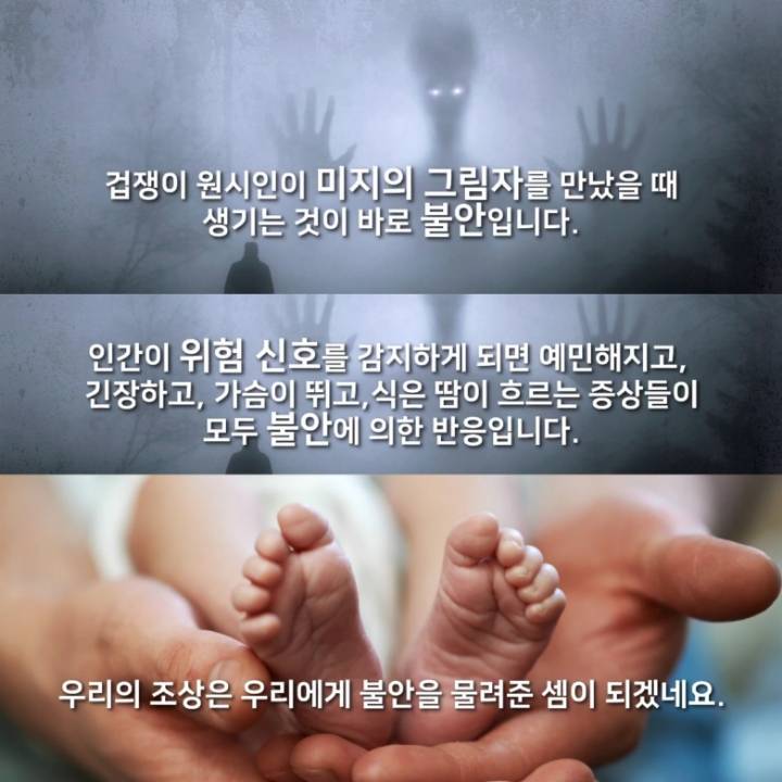 불안, 왜 생기는 걸까? (+ 걱정 많은 사람들을 위한 팁) | 인스티즈