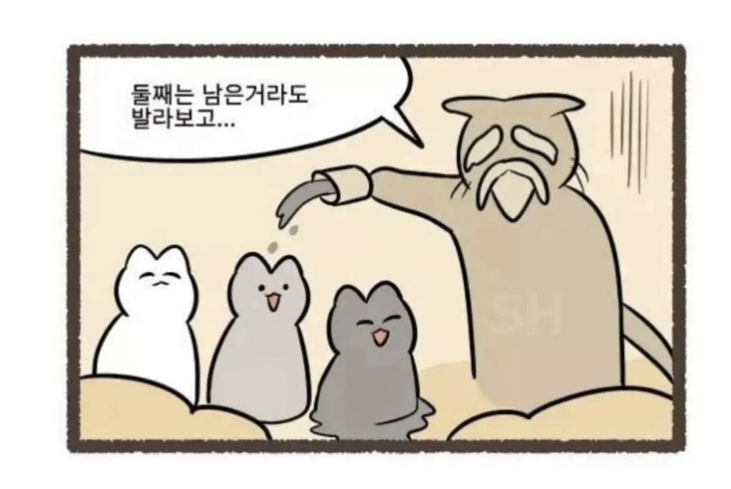 nokbeon.net-고양이 털색이 정해지는 과정.jpg-5번 이미지