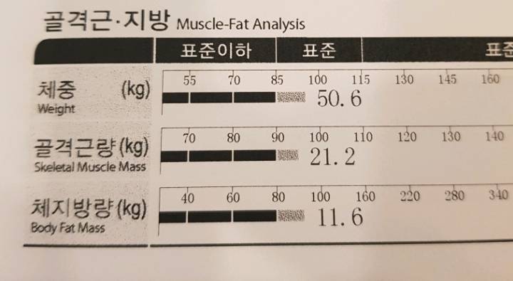 다이어트시 (체)지방만 빼는건 당신의 착각과 큰 실수 4편! 살을 빼기 가장 좋은시기 | 인스티즈