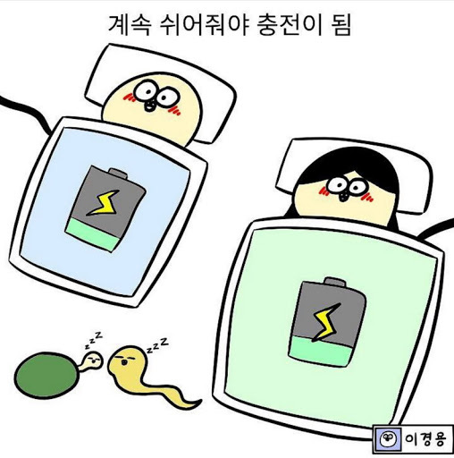 다이어트시 (체)지방만 빼는건 당신의 착각과 큰 실수 2편! 살이 빠지고 근육이 잘 붙기위한 3대요소 | 인스티즈