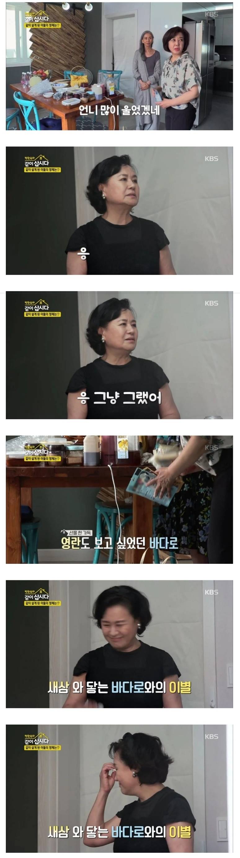 이제 더이상 반려견을 키우지 않겠다는 배우 박원숙.jpg | 인스티즈