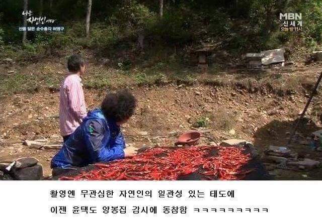 나는 자연인이다 레전드 | 인스티즈