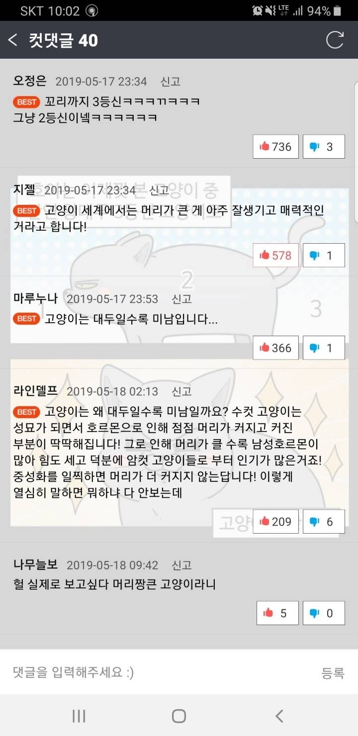 고양이는 할수록 미남이다.jpg | 인스티즈