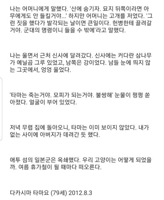 태평양 전쟁 당시 일본의 민간 고양이 공출... (사진주의) | 인스티즈