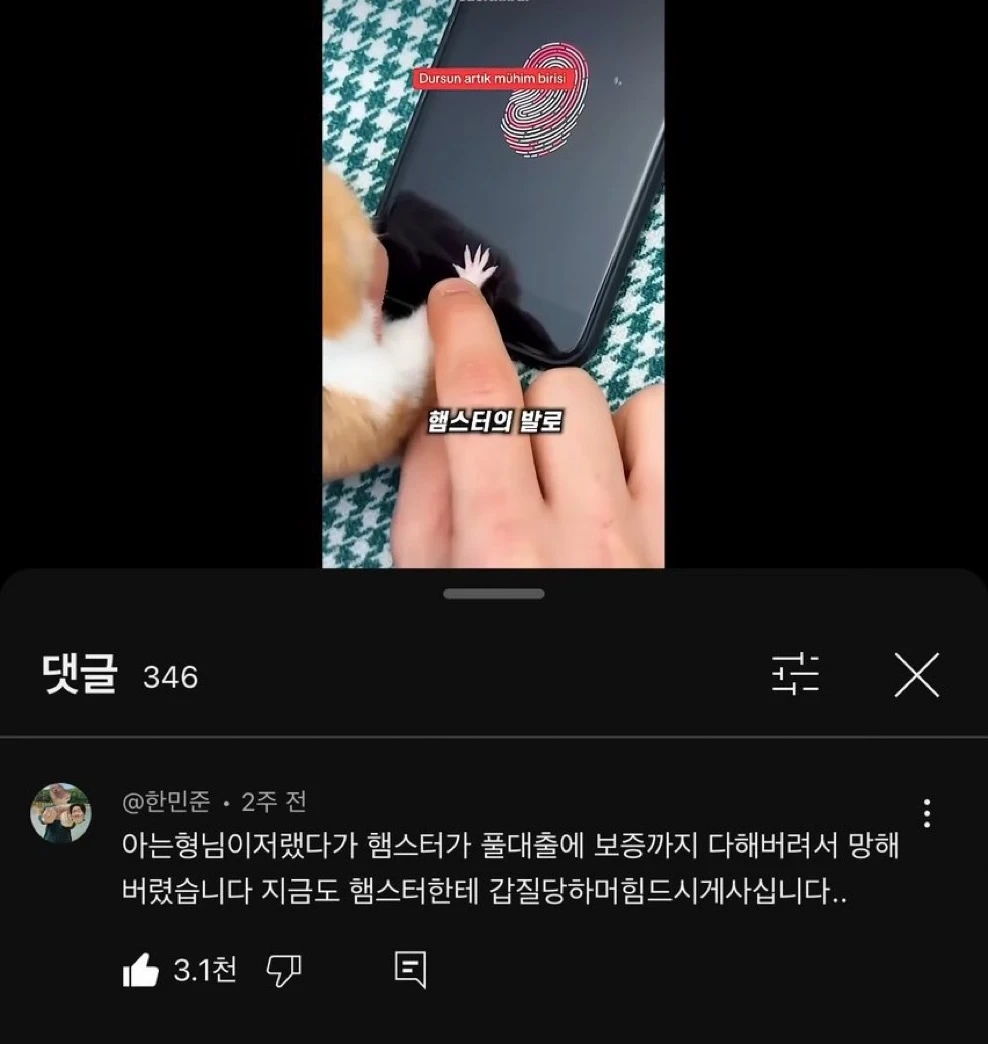 nokbeon.net-햄스터 지문인식의 위험성.jpg-1번 이미지