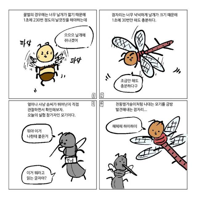 잠자리가 줄어드는 이유.jpg | 인스티즈