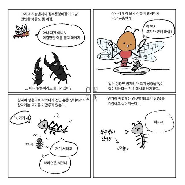 잠자리가 줄어드는 이유.jpg | 인스티즈