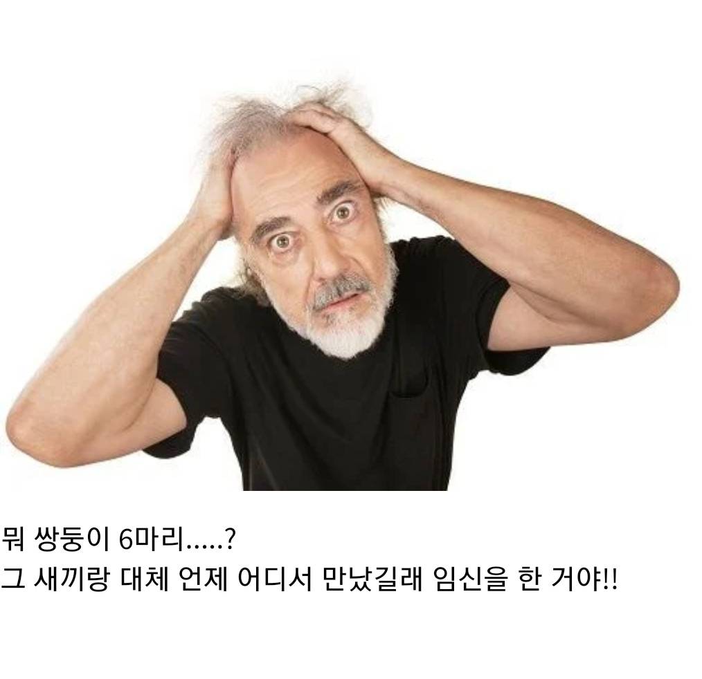 언니 나 사랑하는 개가 생겼어... 그 오빠랑 결혼하고 싶어 | 인스티즈