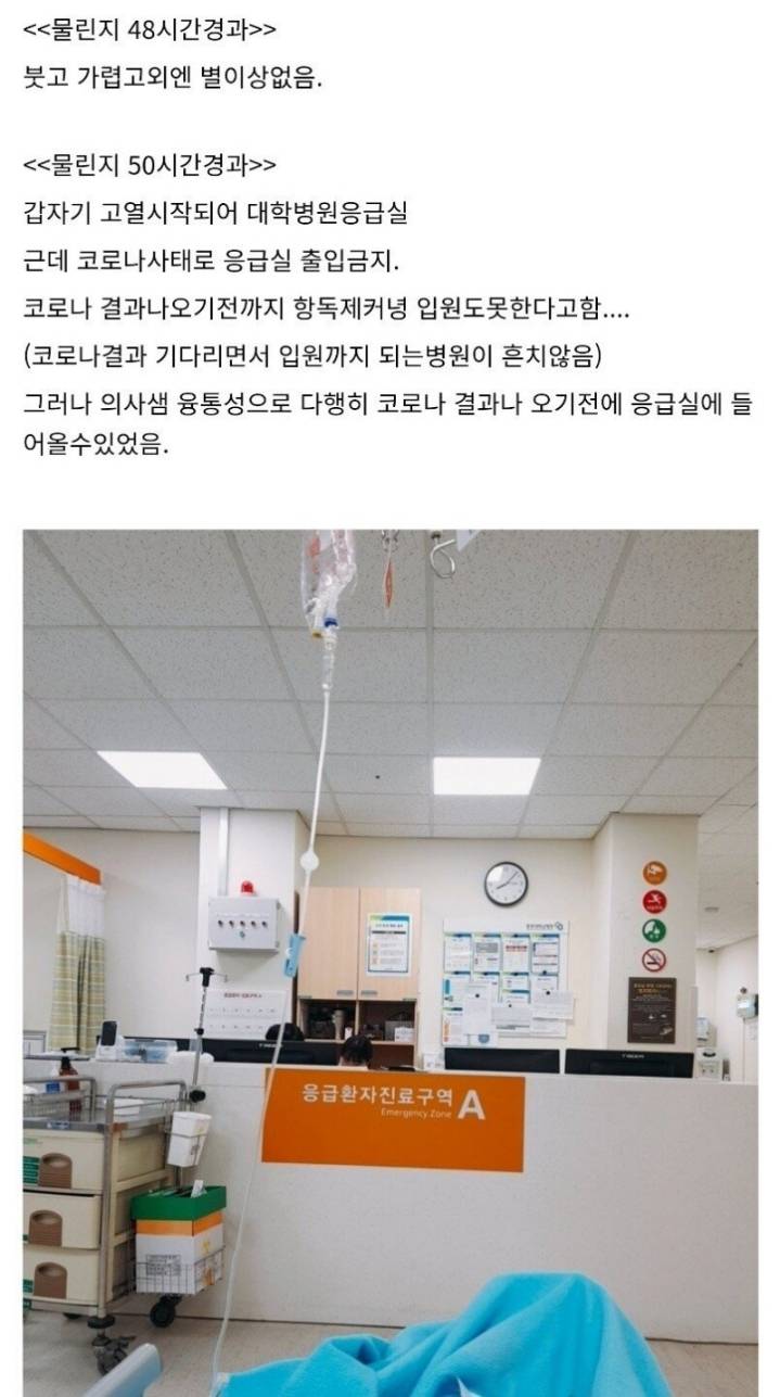 산책하다가 독사에게 물린 디시인 후기.jpg | 인스티즈