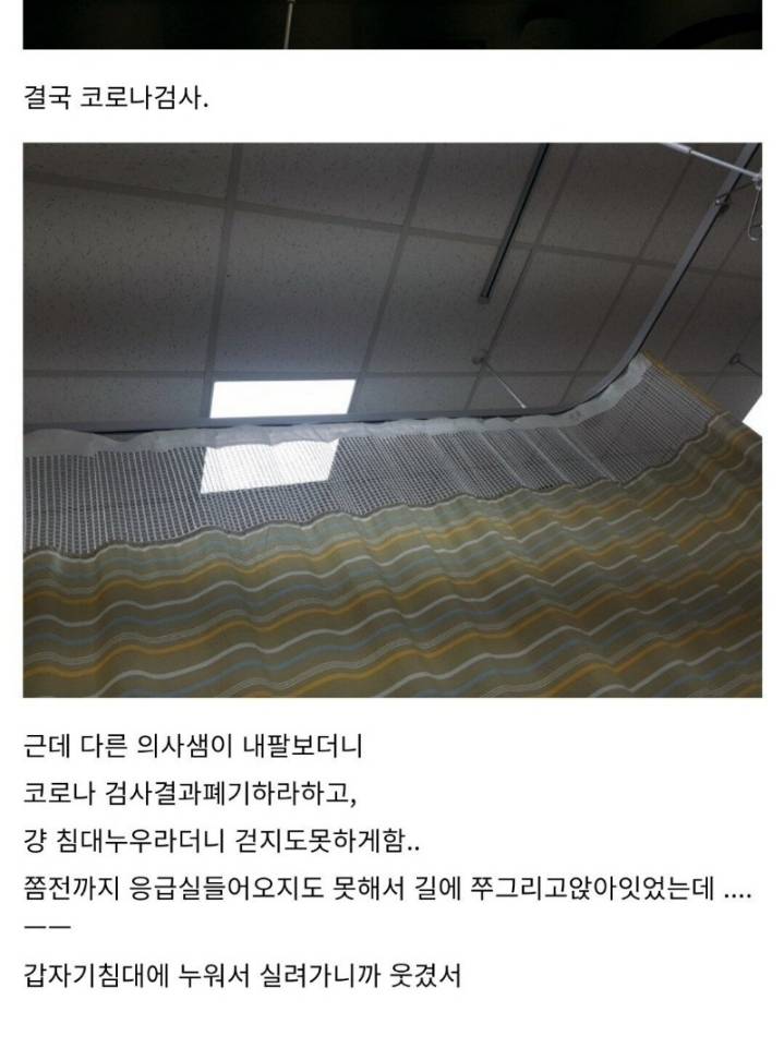 산책하다가 독사에게 물린 디시인 후기.jpg | 인스티즈