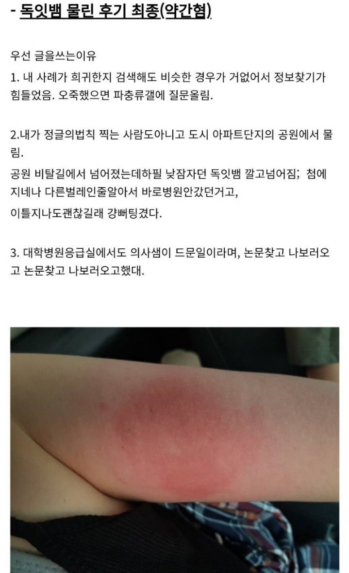 산책하다가 독사에게 물린 디시인 후기.jpg | 인스티즈