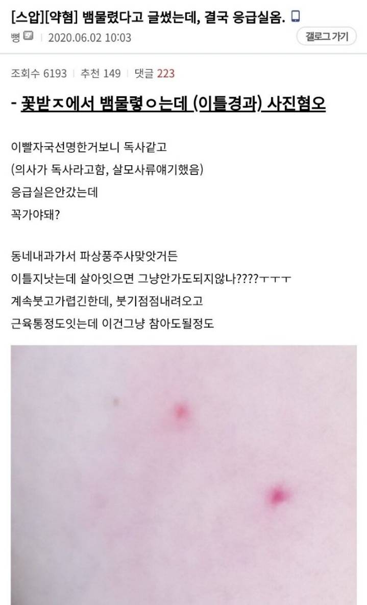 산책하다가 독사에게 물린 디시인 후기.jpg | 인스티즈