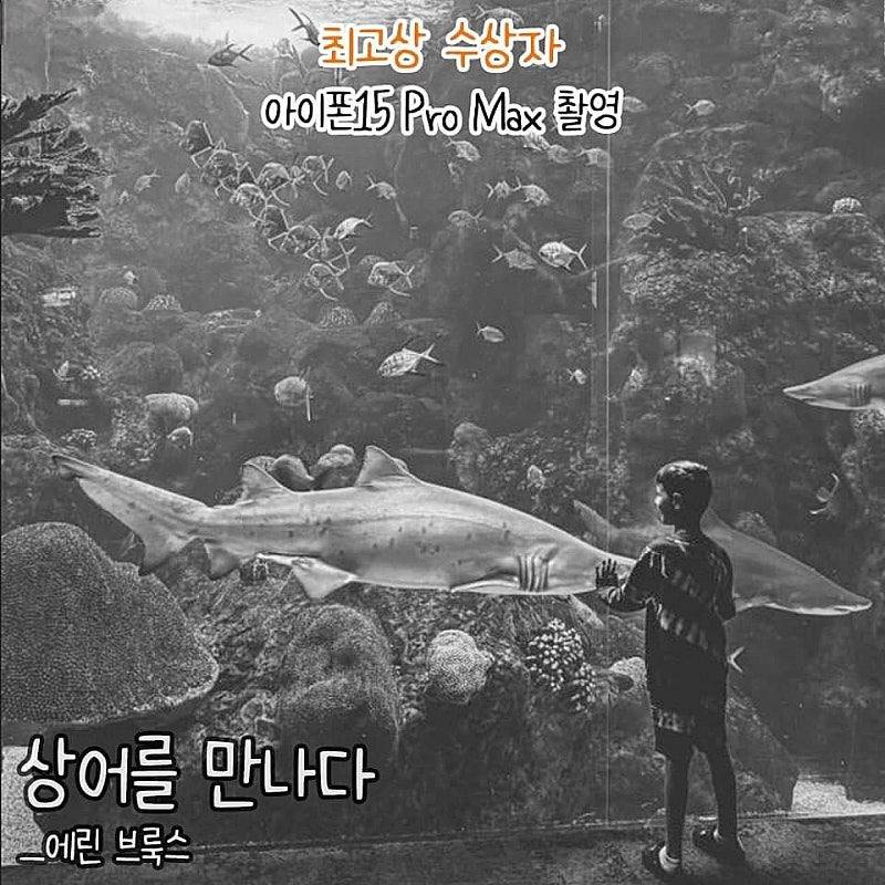 nokbeon.net-아이폰 사진전 수상작들-1번 이미지