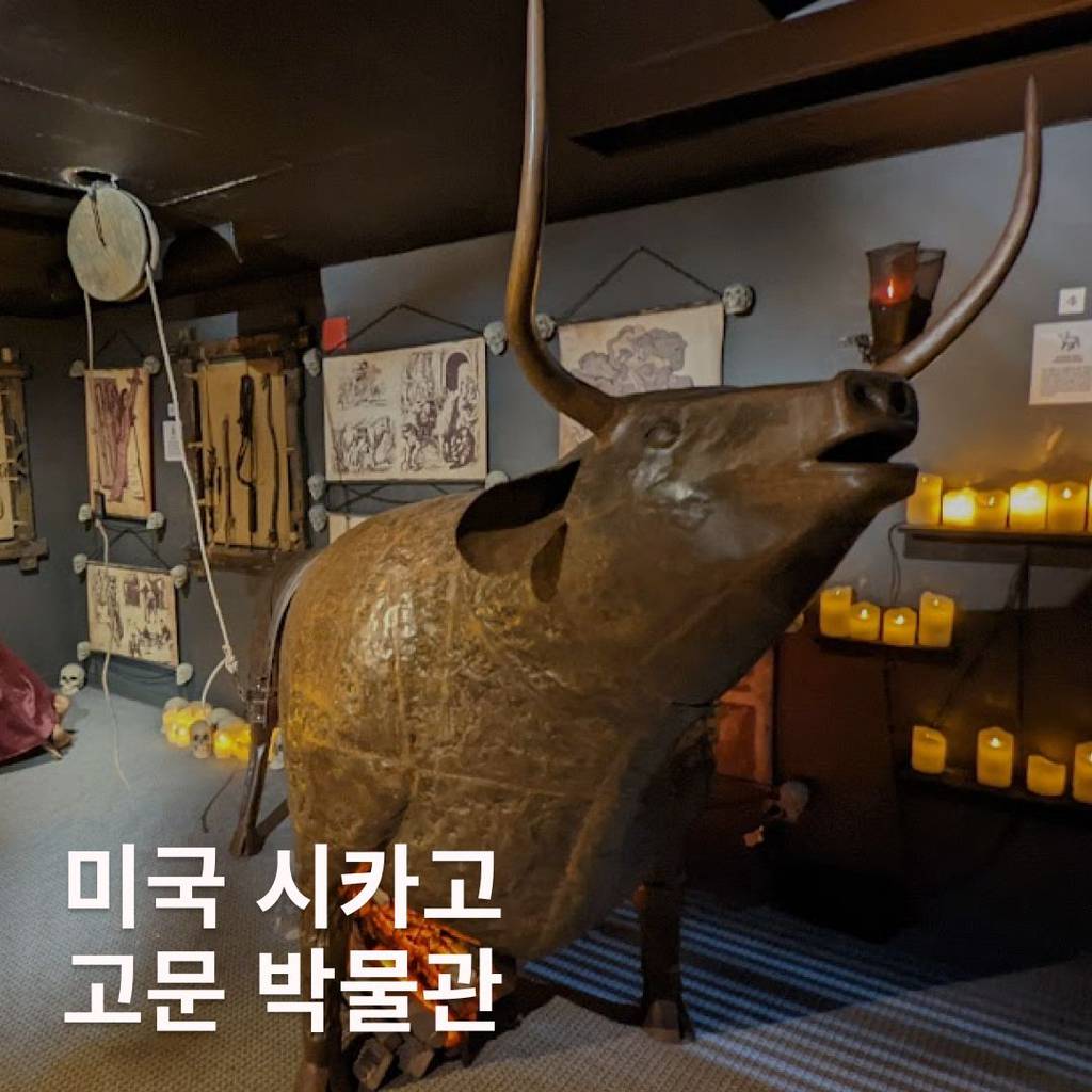 nokbeon.net-기기괴괴 세계 이색 박물관 모음-6번 이미지