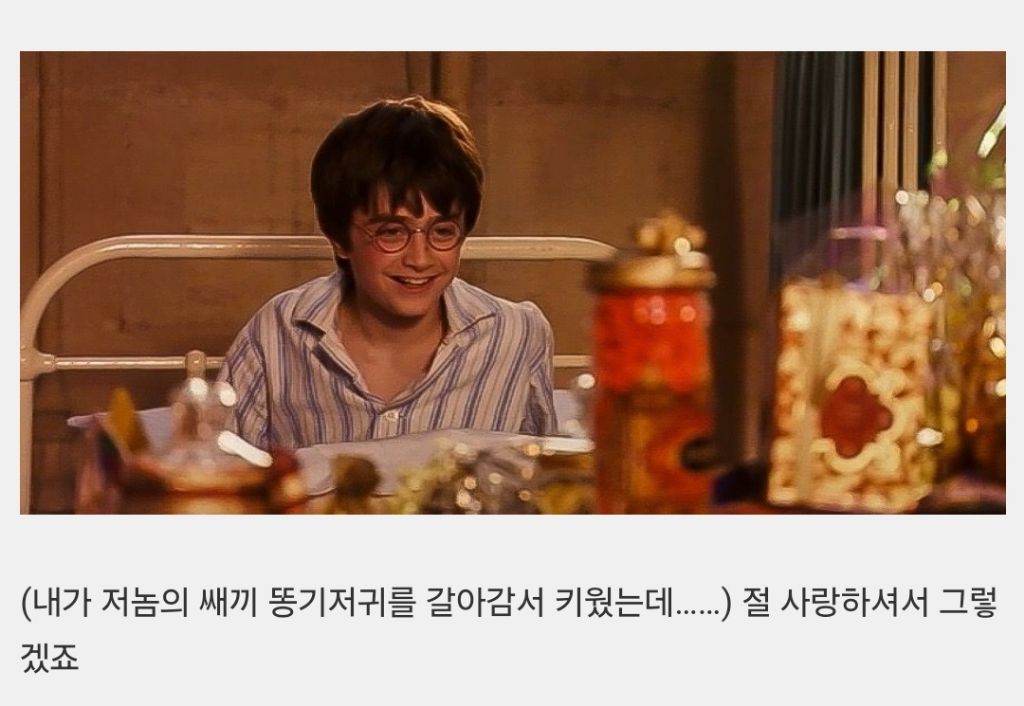 nokbeon.net- 해리포터 이모부가 성동일이었다면-31번 이미지