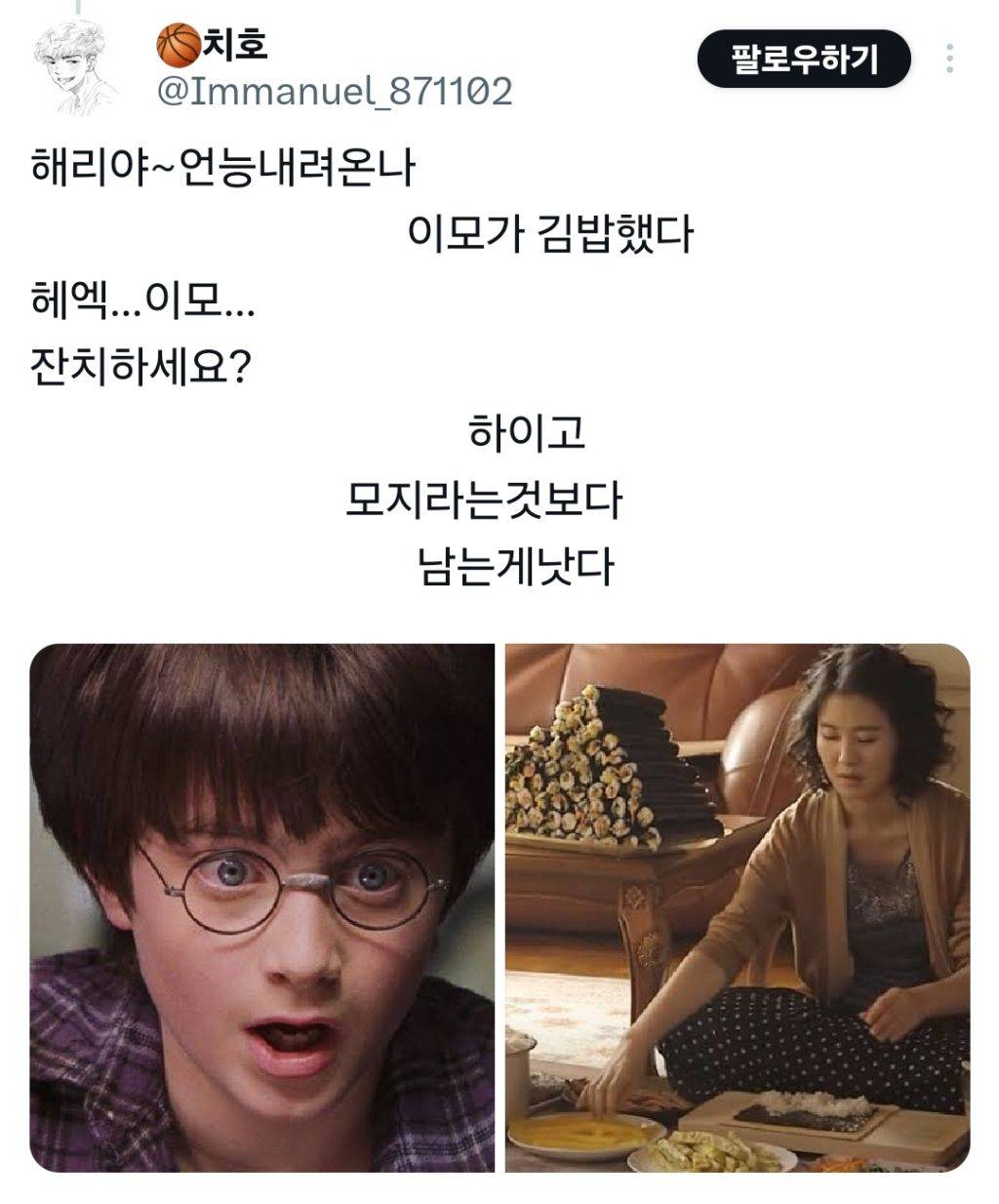 nokbeon.net- 해리포터 이모부가 성동일이었다면-4번 이미지