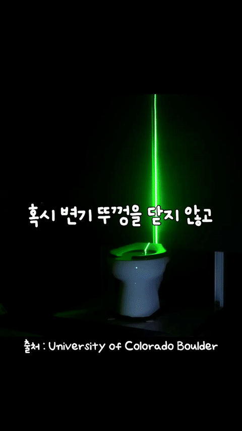 nokbeon.net-변기 뚜껑 안닫고 물내리기-1번 이미지