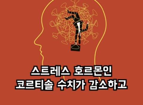 nokbeon.net-달리기 (러닝) 을 안하는게 손해인 이유-24번 이미지