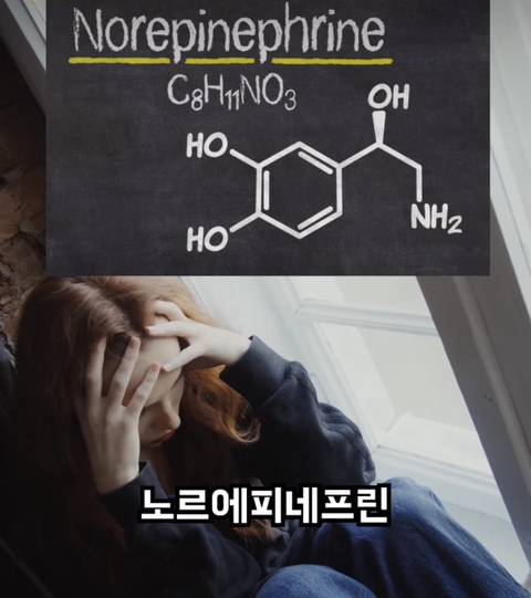 nokbeon.net-달리기 (러닝) 을 안하는게 손해인 이유-30번 이미지