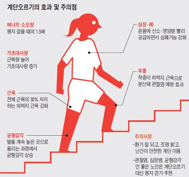 모델 한혜진이 생각하는 최고의 살빼는 운동 | 인스티즈