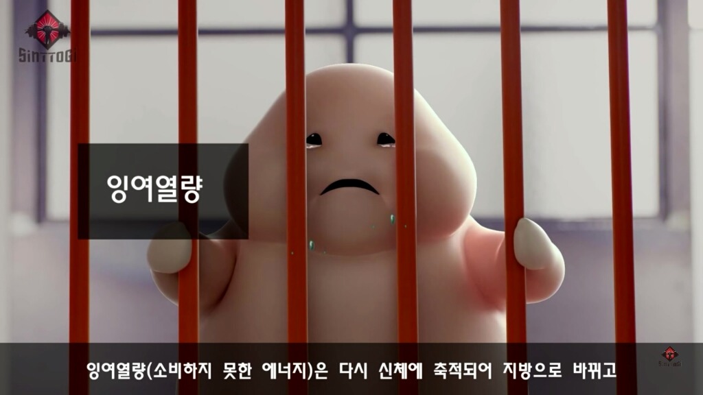 우리가 몰랐던 기초대사량의 진실 | 인스티즈