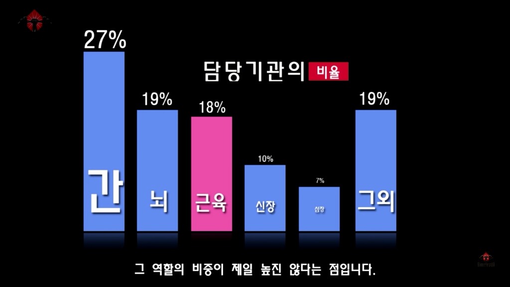 우리가 몰랐던 기초대사량의 진실 | 인스티즈