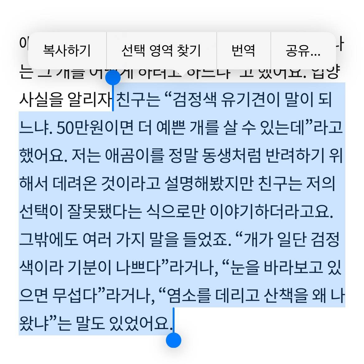 [입양홍보] 검정개는 불길하다고? 응 너 내일 죽어~ 귀여워서 죽음 | 인스티즈