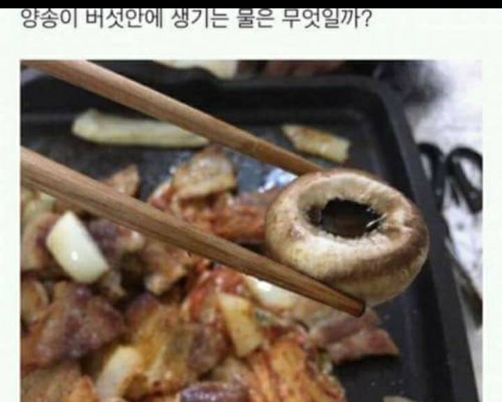 양송이버섯 안에 생기는 물 정체...... | 인스티즈