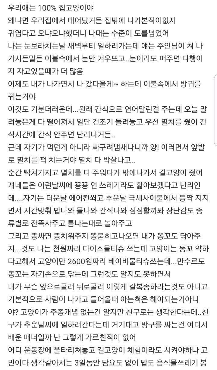 고양이가 이렇게 싹수가 없어도 되는거야? | 인스티즈